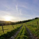 Early Morning in the Eifel