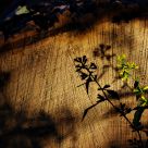 Textured shadow