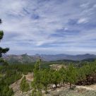 View from Pico de las Nieves