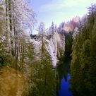 Magical Forest 2