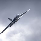 The Old Bird