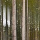 Aspen Abstract