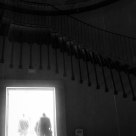 Into The Light