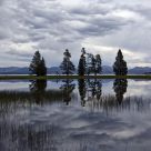 Reflection