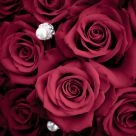 bridal bouquet