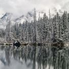 First Snow