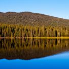 Lakeside Reflection