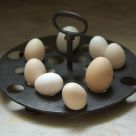 Eggs-actly