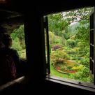 The view of Paradise