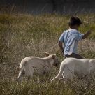Childhood