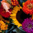 Beauty at the Farmer's Market