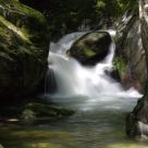 Silky water
