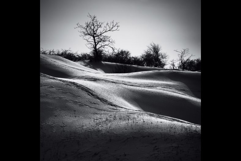winter curve