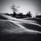 winter curve