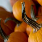 Fall is Here