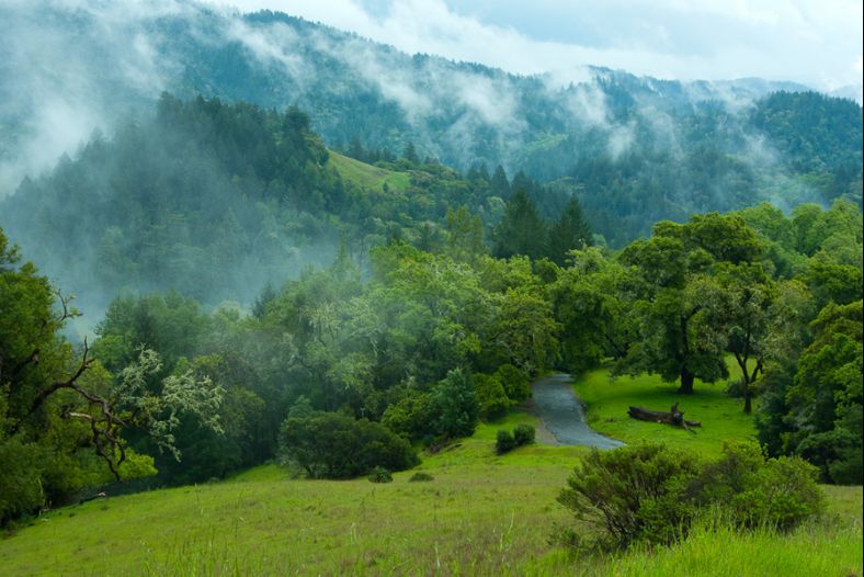 Misty Valley
