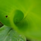Origin of life