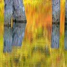 Reflecting On Autumn.
