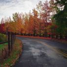 Color Around The Turn