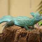 Beware! Green Reptile!