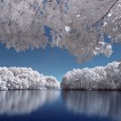 Reflection Pool