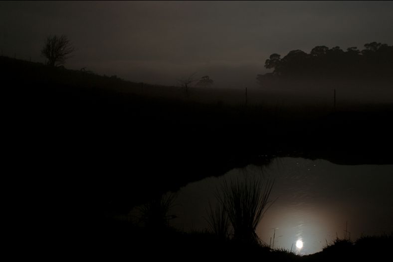 The Dead of Night