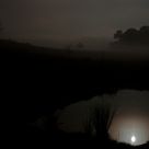 The Dead of Night