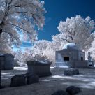 Cemetery