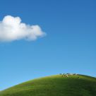 Green barrow
