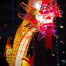 Dragon Alive