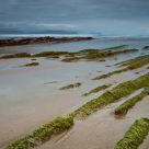 Green stones