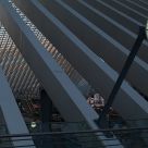 Guillemins IV