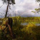 Finnish landscape