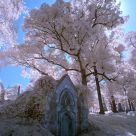 Resting Place