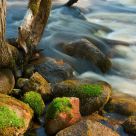 shore