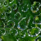 Droplets in Web