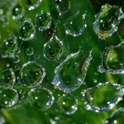 Droplets in Web