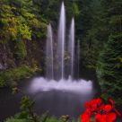 Water Show