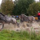As the heavy horses coming through