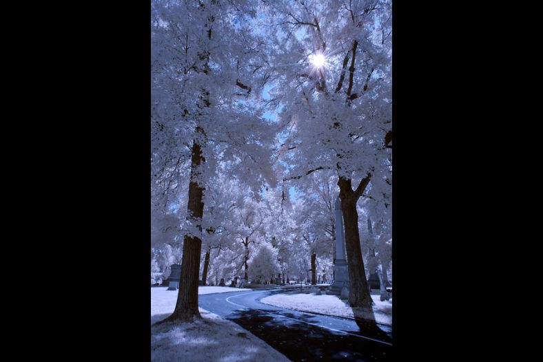 Shining Star