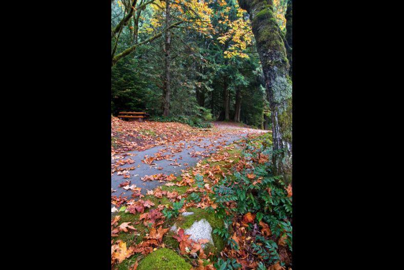 Autumn Colors