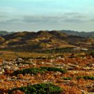 Cavalleria landscape (Minorca)