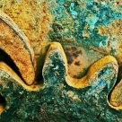 GEARS