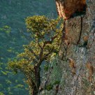 Equilibrium
