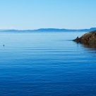 Lonely fisher