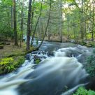 River Stream