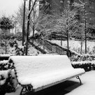 No todo es nieve.