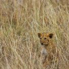 Where's mummy going?