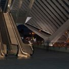 Guillemins V