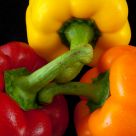 Pepper Harmony